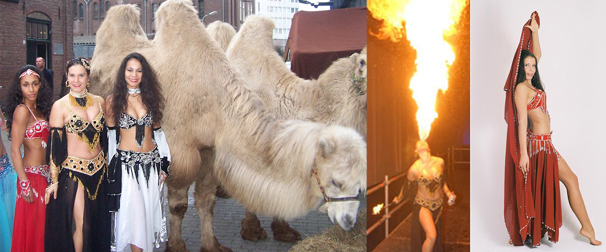 Verhuur van kamelen